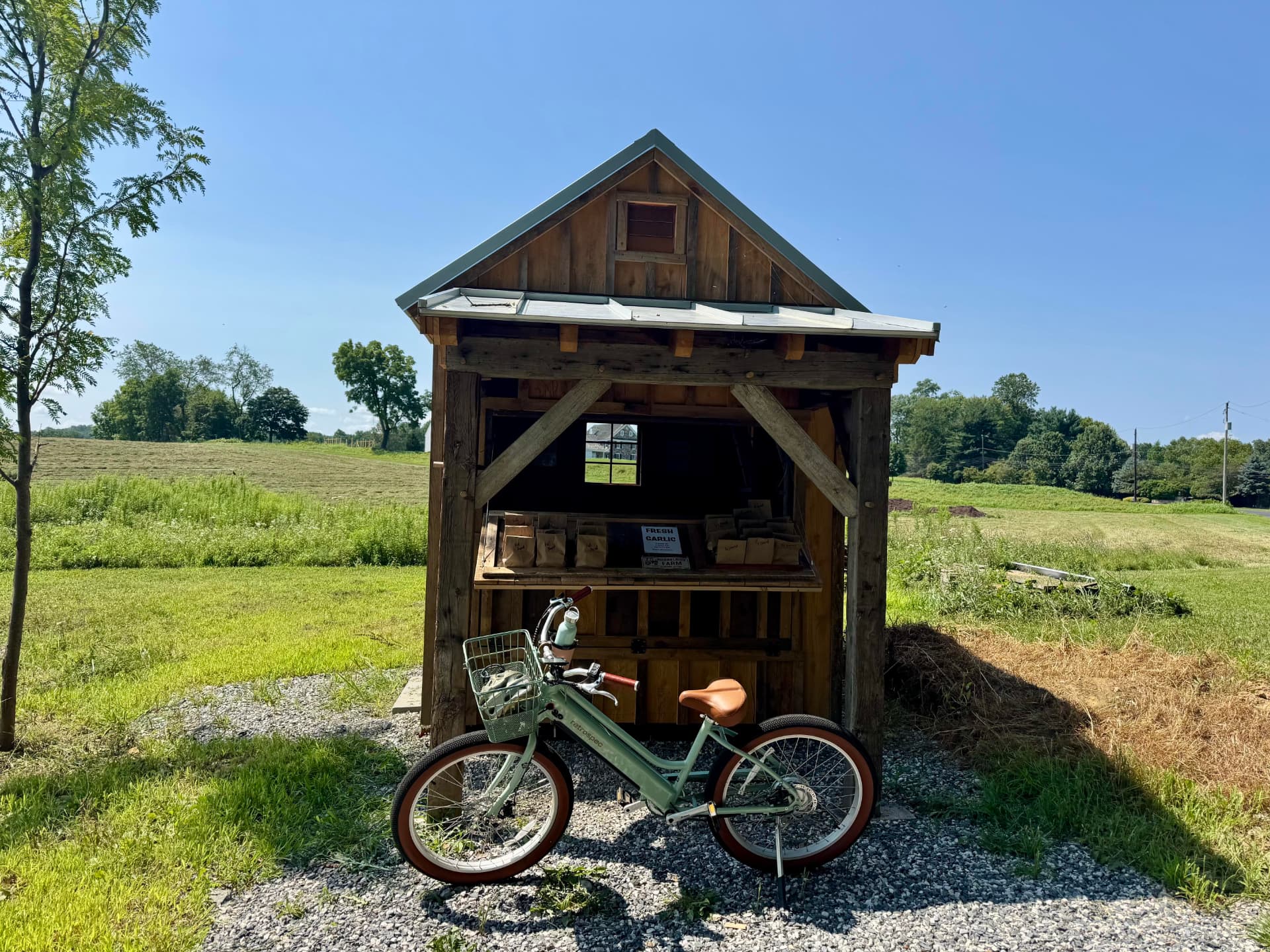 The Runnelside farm stand with a fresh garlic sign and a mint-green bicycle parked out front
